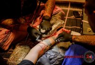 2016-03-13-tattoo-convention-schleppe-eventhalle-paparazzi-065