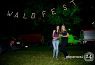 2017-07-29-waldfest-ff-viktring-stein-001